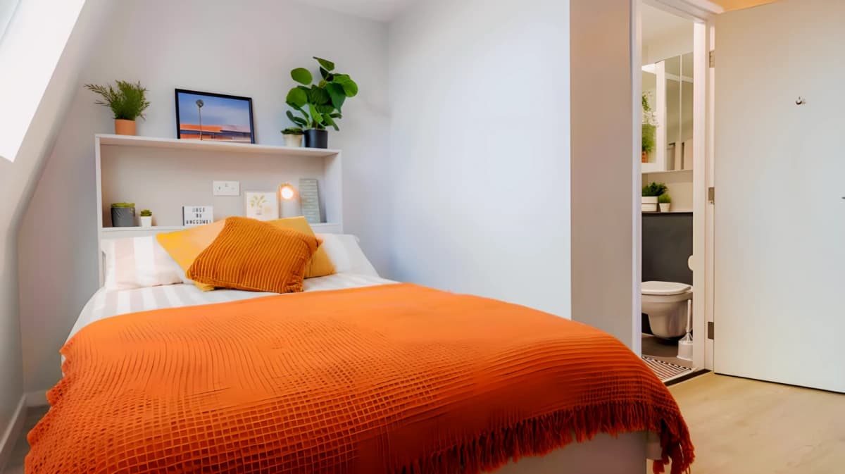 iQ City — Gold En Suite Plus