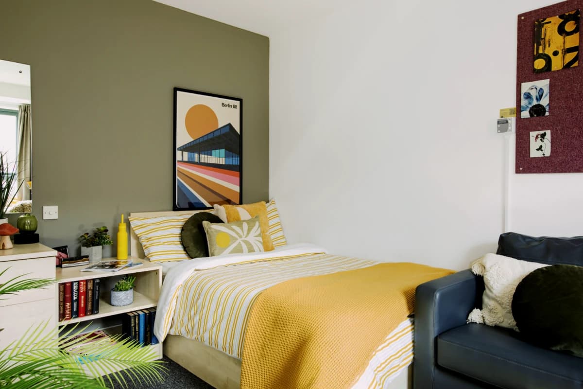 Blithehale Court — Medium Studio