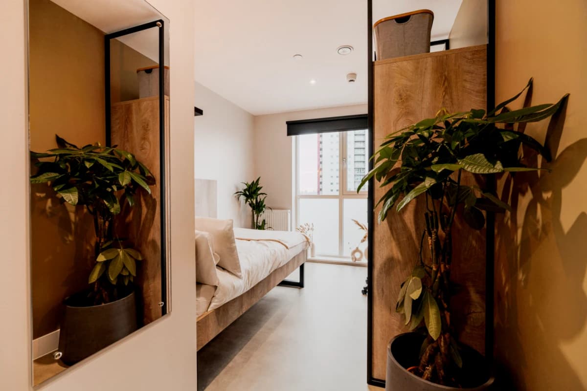 YourTRIBE South Bermondsey — Superior En-suite