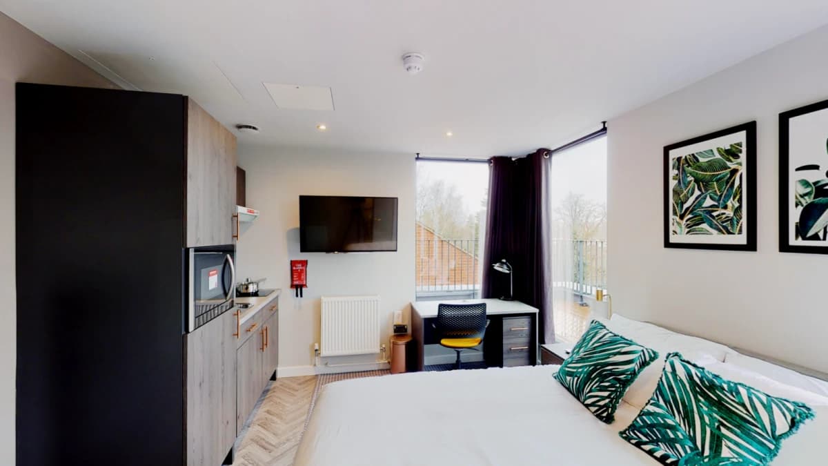 Astra House — Deluxe Penthouse Studio with a Balcony