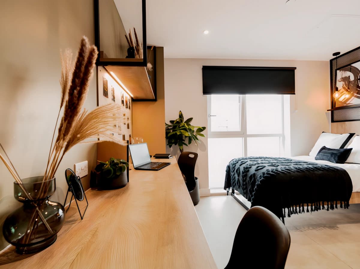 Lit South Bermondsey — Classic Studio