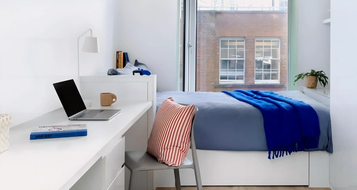 Scape Shoreditch — Standard Plus Studio