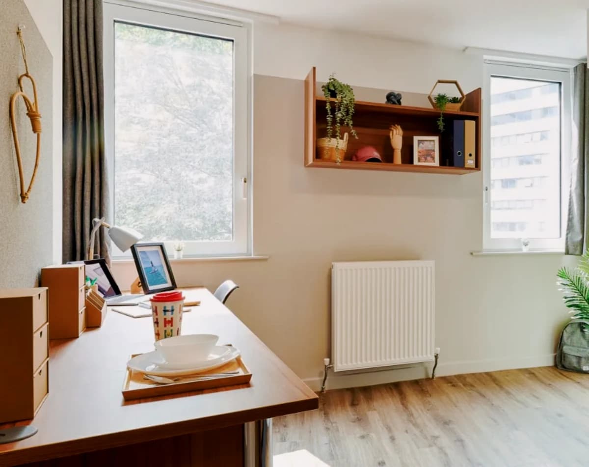 The Helix — Penthouse Studio